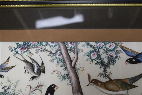 19th century Chinese School, pair of gouache on pith paper, studies of birds and flowers, 17 x 30cm